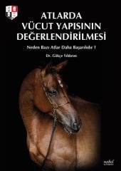 Atlarda Vücut Yapısının Değerlendirilmesi: Neden Bazı Atlar Daha Başarılıdır?