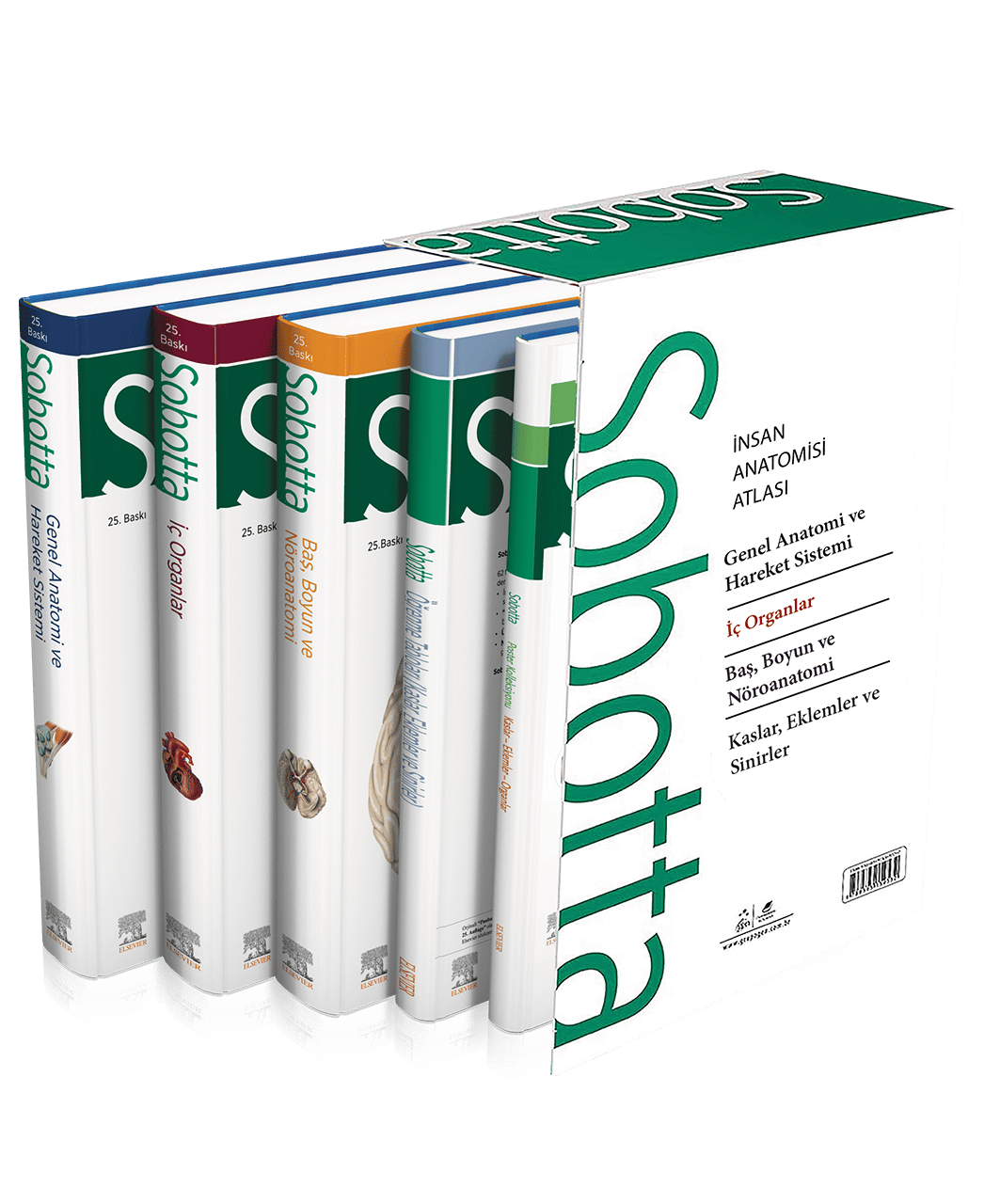 Sobotta İnsan Anatomisi Atlas Türkçe 4 Cilt Set