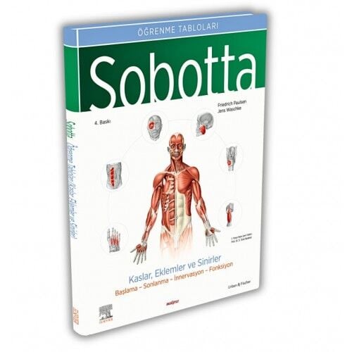 Sobotta İnsan Anatomisi Atlas Türkçe 4 Cilt Set
