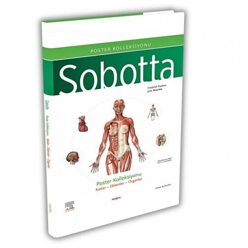 Sobotta İnsan Anatomisi Atlas Türkçe 4 Cilt Set