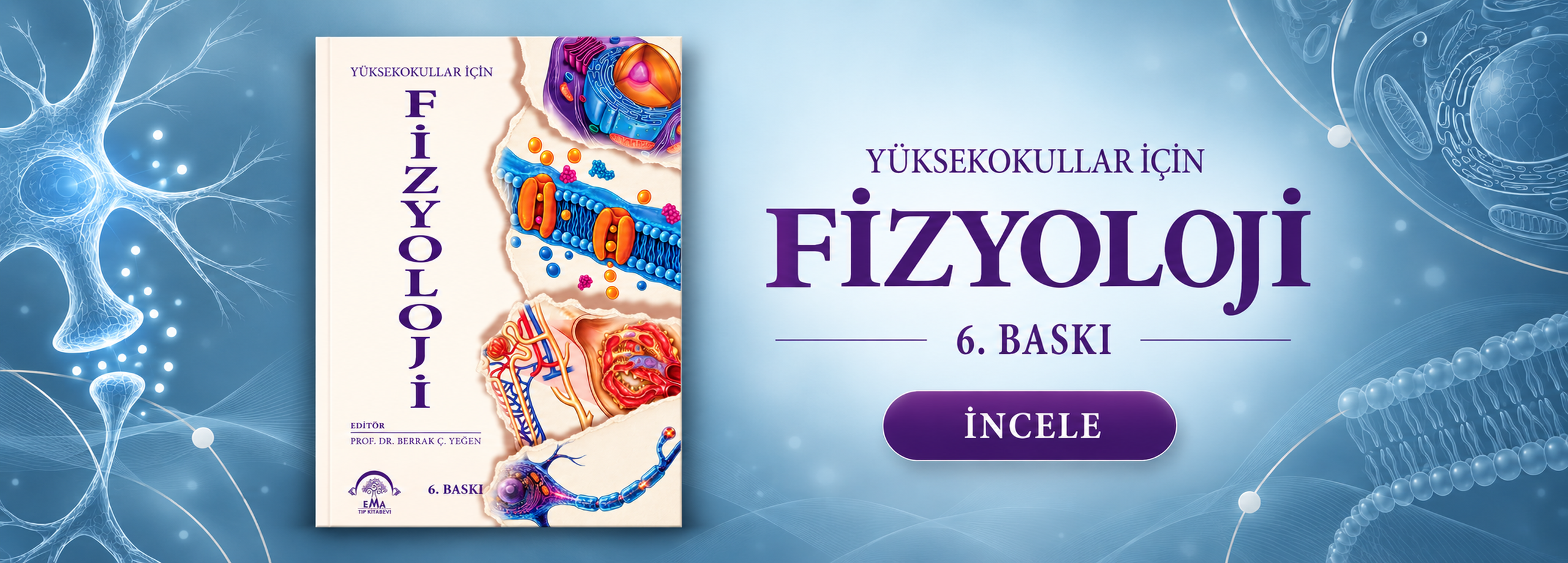 fizyo