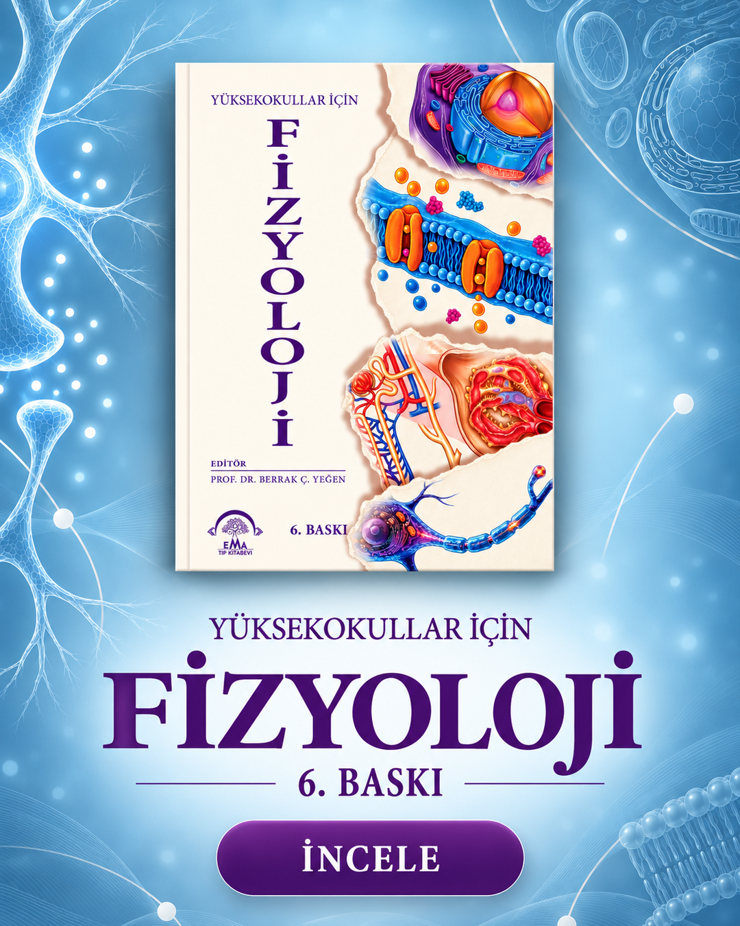 Yüksekokullar İçin Fizyoloji