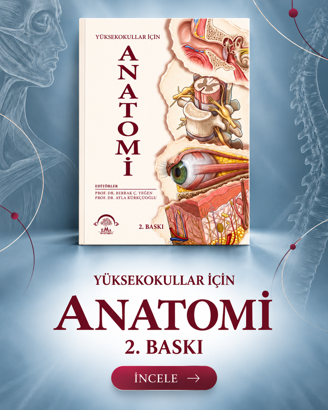 Yüksekokullar için Anatomi