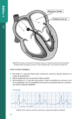 Hastane Öncesi Acil Bakımda EKG ve İleri Yaşam Desteği Uygulamaları