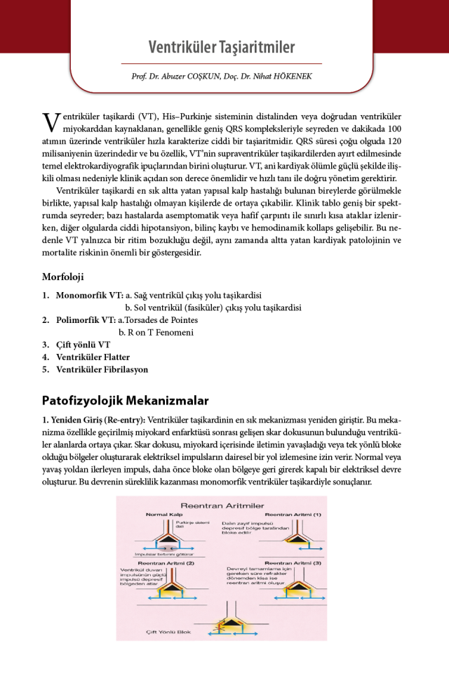 Acil Tıpta EKG: Temel İlkelerden İleri Yorumlamaya