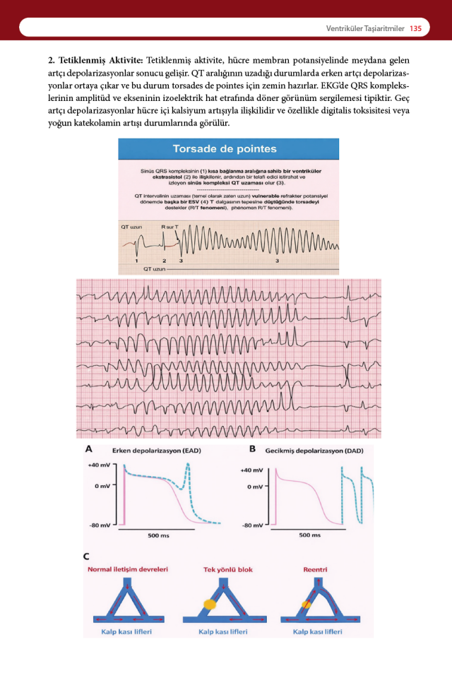 Acil Tıpta EKG: Temel İlkelerden İleri Yorumlamaya