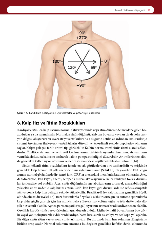 Acil Tıpta EKG: Temel İlkelerden İleri Yorumlamaya