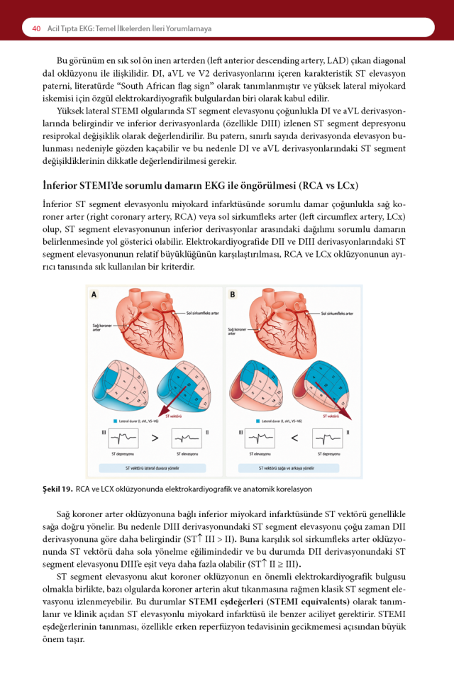 Acil Tıpta EKG: Temel İlkelerden İleri Yorumlamaya