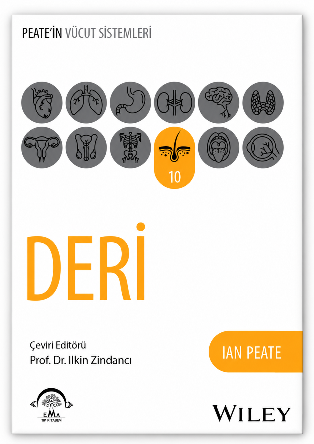 Peate’in Vücut Sistemleri Deri