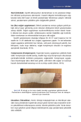 Acilde ve 1.Basamakta Kas İskelet Sistemi Ağrılarına Yaklaşım