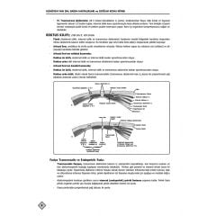 YDUS KONU KİTABI ( 5.BASKI ) K.DOĞUM / 1.2 CİLT