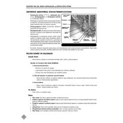 YDUS KONU KİTABI ( 5.BASKI ) K.DOĞUM / 1.2 CİLT