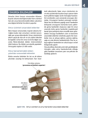 İnsan Anatomisine Giriş Görsellerle Zenginleştirilmiş SHMYO ve SYO için 3.Baskı
