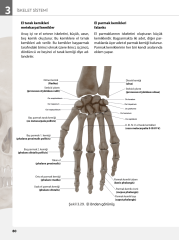 İnsan Anatomisine Giriş Görsellerle Zenginleştirilmiş SHMYO ve SYO için 3.Baskı