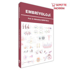 Embriyoloji