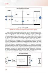 Hastane Öncesi Acil Sağlık Hizmetleri