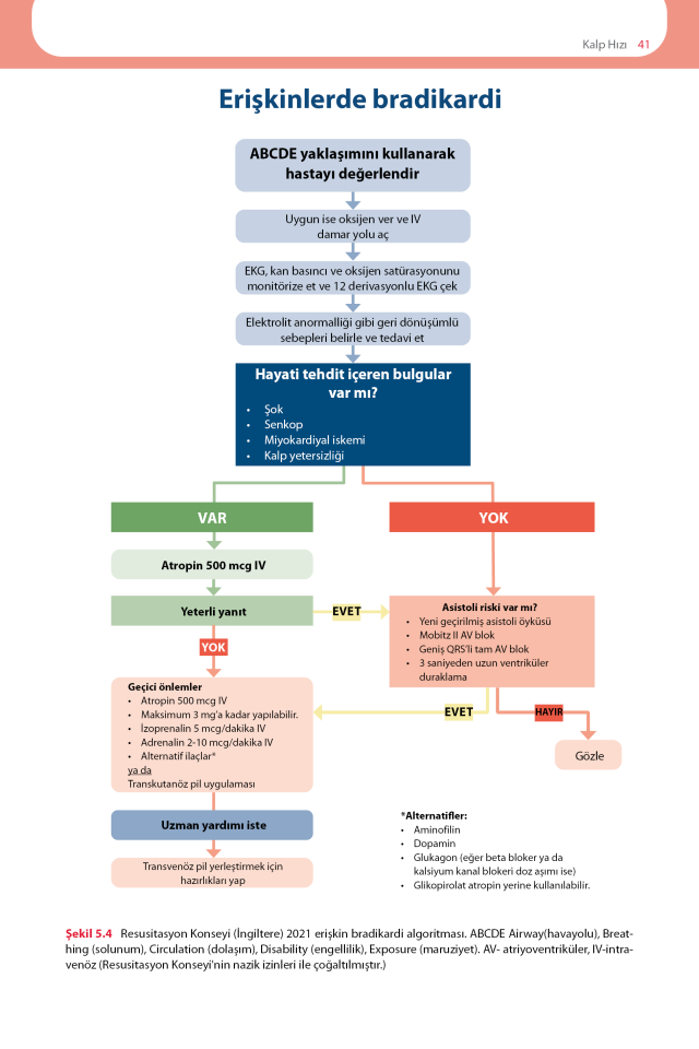 EKG'yi Anlamak (Uygulamalı Kılavuz)