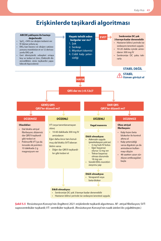 EKG'yi Anlamak (Uygulamalı Kılavuz)