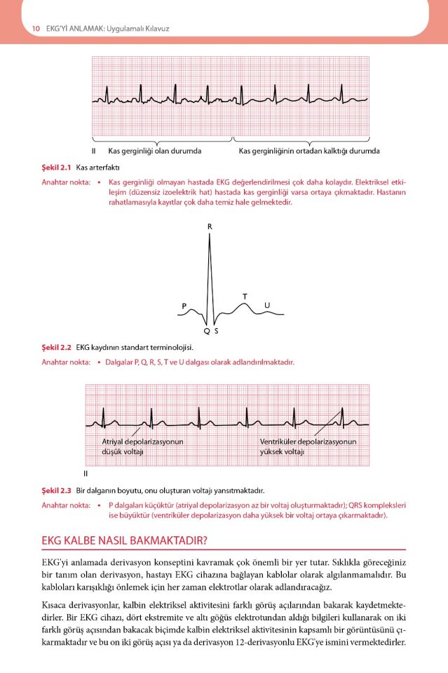 EKG'yi Anlamak (Uygulamalı Kılavuz)