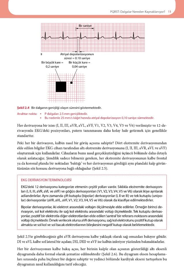 EKG'yi Anlamak (Uygulamalı Kılavuz)