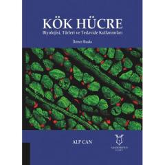 Kök Hücre