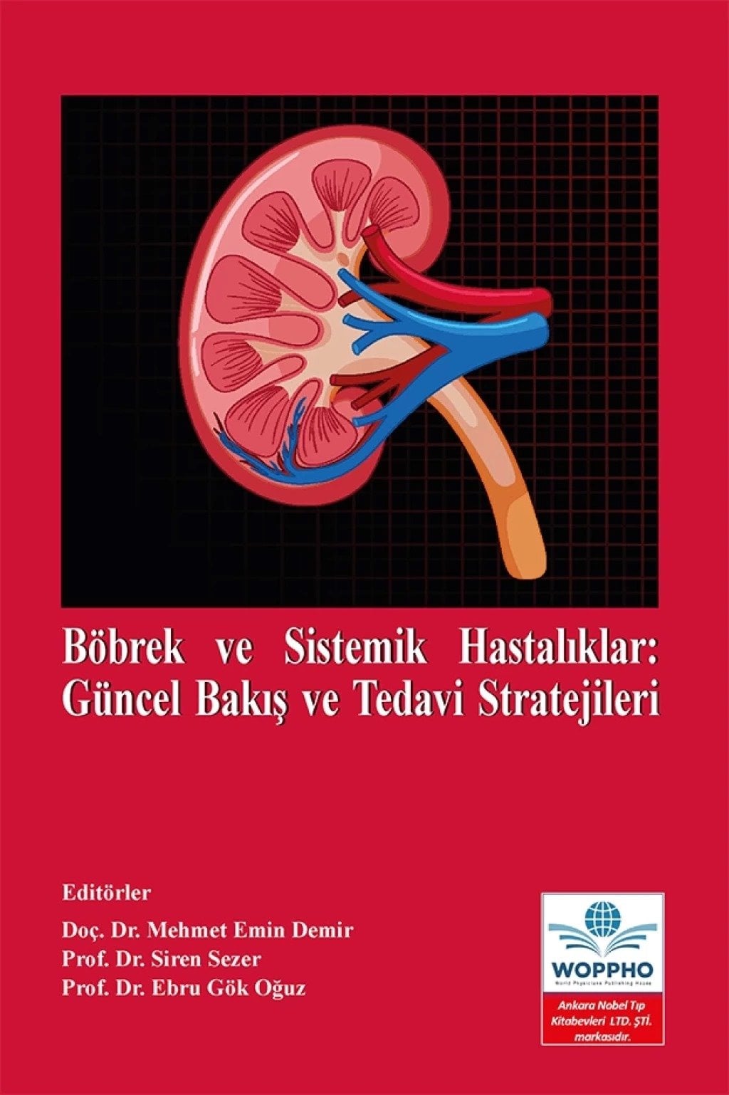 Böbrek ve Sistemik Hastalıklar: Güncel Bakış ve Tedavi Stratejileri