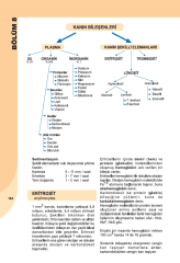 İnsan Anatomisi ve Fizyolojisine Giriş
