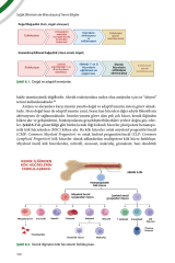 Sağlık Bilimlerinde Mikrobiyoloji Temel Bilgiler