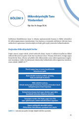 Sağlık Bilimlerinde Mikrobiyoloji Temel Bilgiler