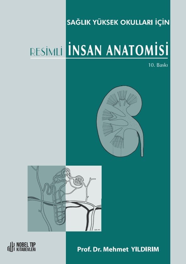 Sağlık Yüksek Okulları için Resimli İnsan Anatomisi