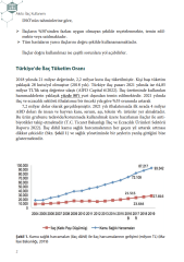Akılcı İlaç Kullanımı