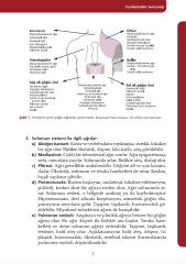 Kardiyolojide Semiyoloji 2. Baskı