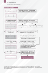 Acil Algoritmaları 2.Baskı