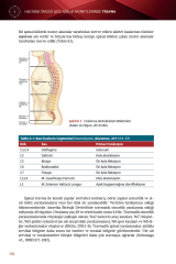 Hastane Öncesi Acil Sağlık Hizmetlerinde Travma