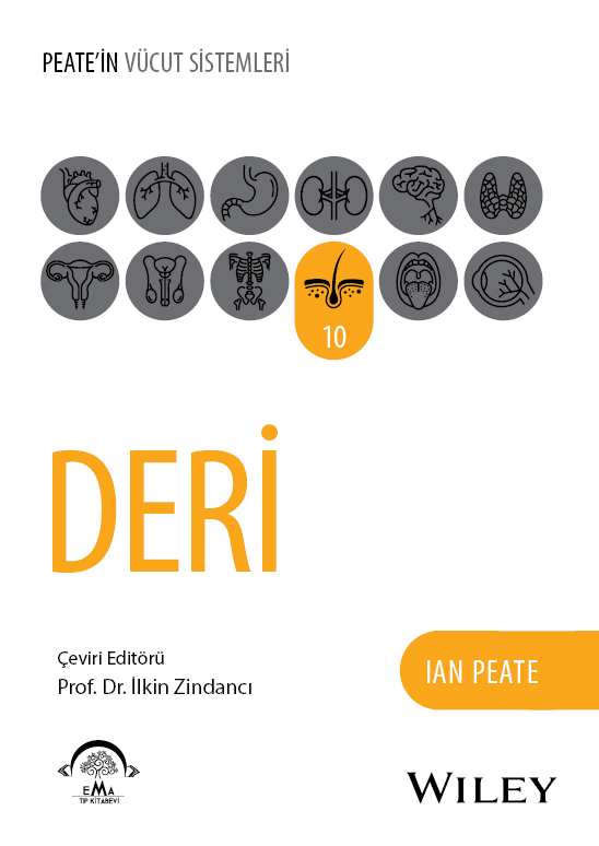 EMA Dermatoloji Seti