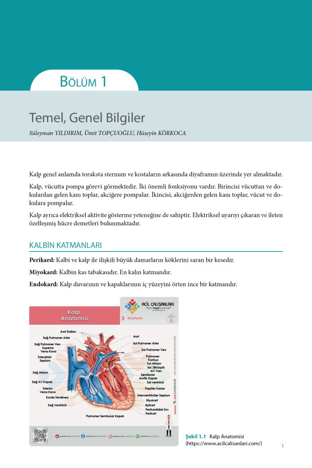 EKG Yorumlama Rehberi