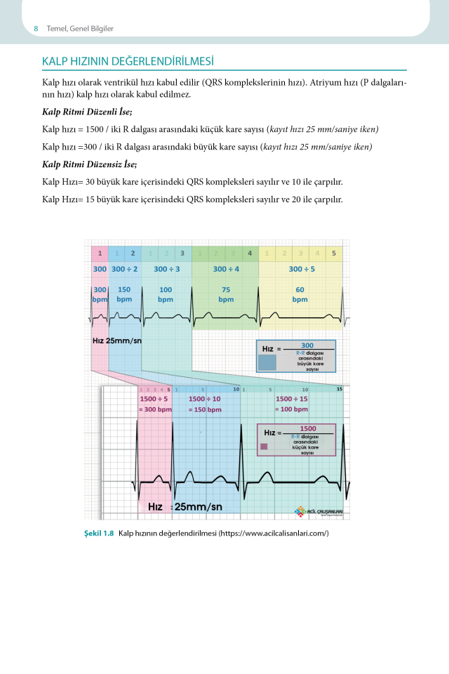 EKG Yorumlama Rehberi