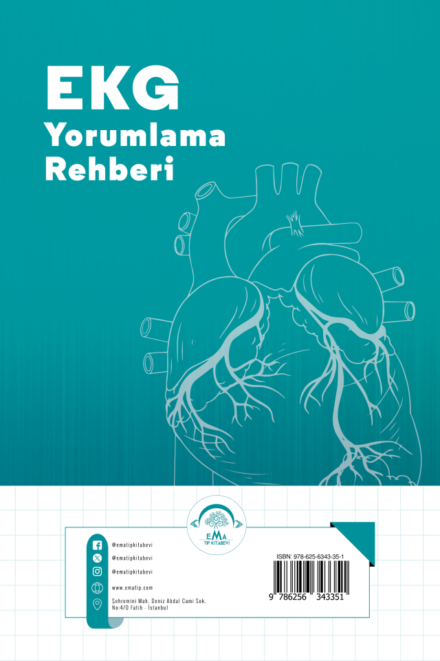 EKG Yorumlama Rehberi