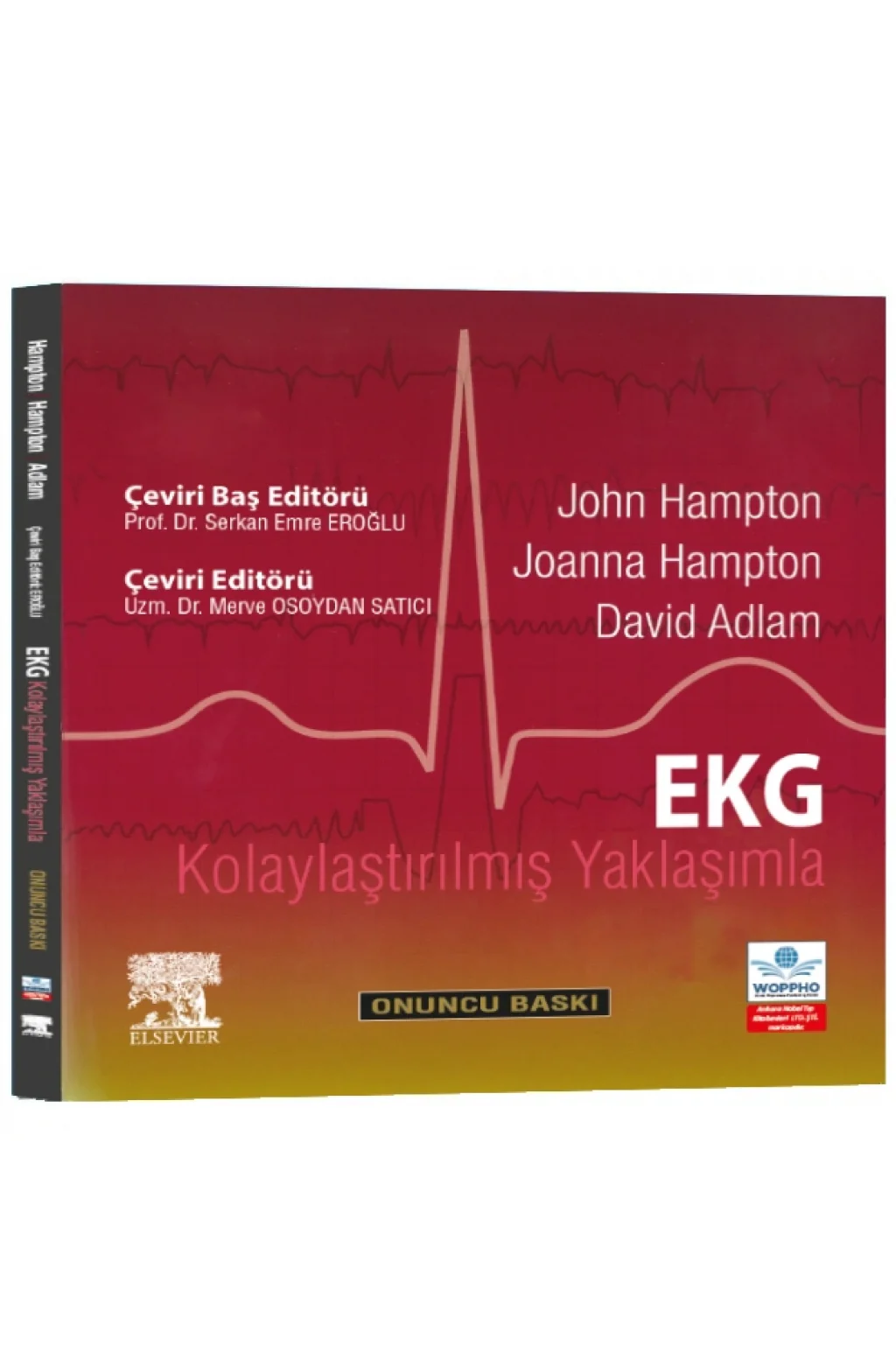 EKG Kolaylaştırılmış Yaklaşımla