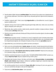 İnsan Anatomisi