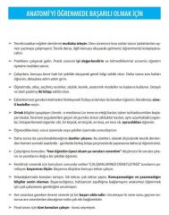 İnsan Anatomisi
