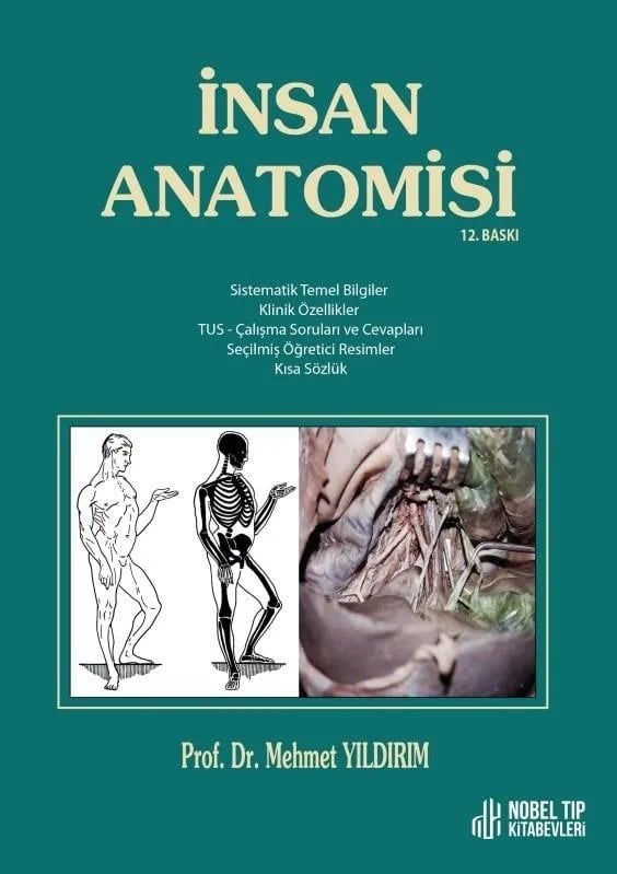 İnsan Anatomisi