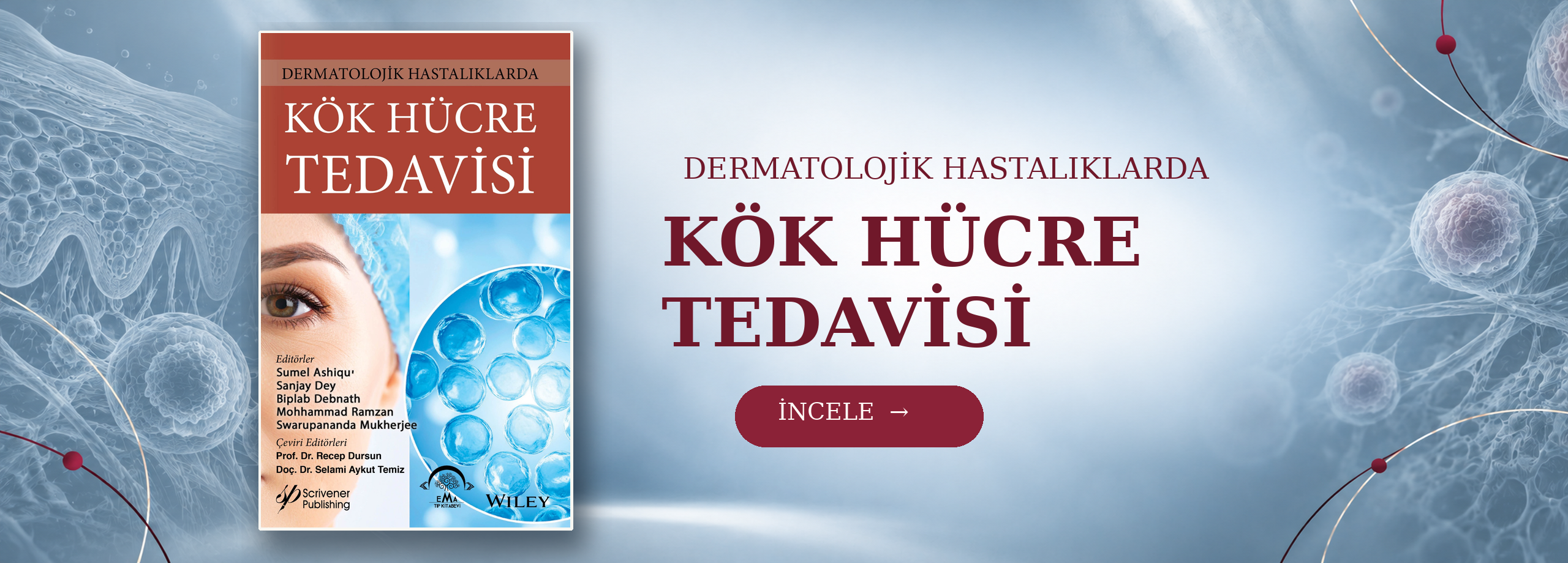 abaakök hücre